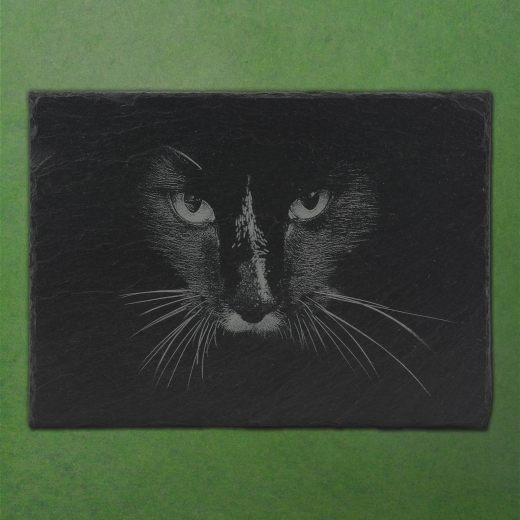 Katze 22x16cm